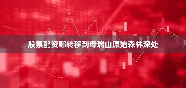 股票配资哪转移到母瑞山原始森林深处